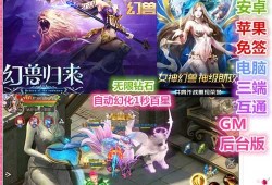 最新魔域游戏私服外挂入门心得:魔域奇迹职业攻略