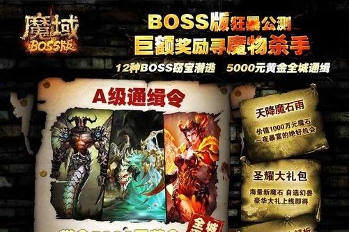 魔域最强BOSS杀手职业  第2张